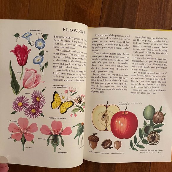 Vintage 1957 The Golden Picture Book Of Science with 45 Experiments & Activities - Picture 7 of 9